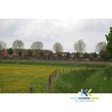 Zicht op wardstraat Spijk F00002659